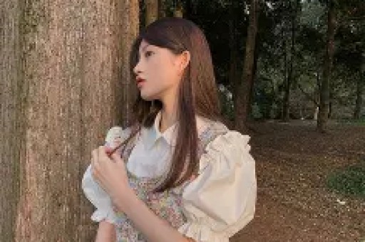 wwwlook19com网站的SEO查询结果